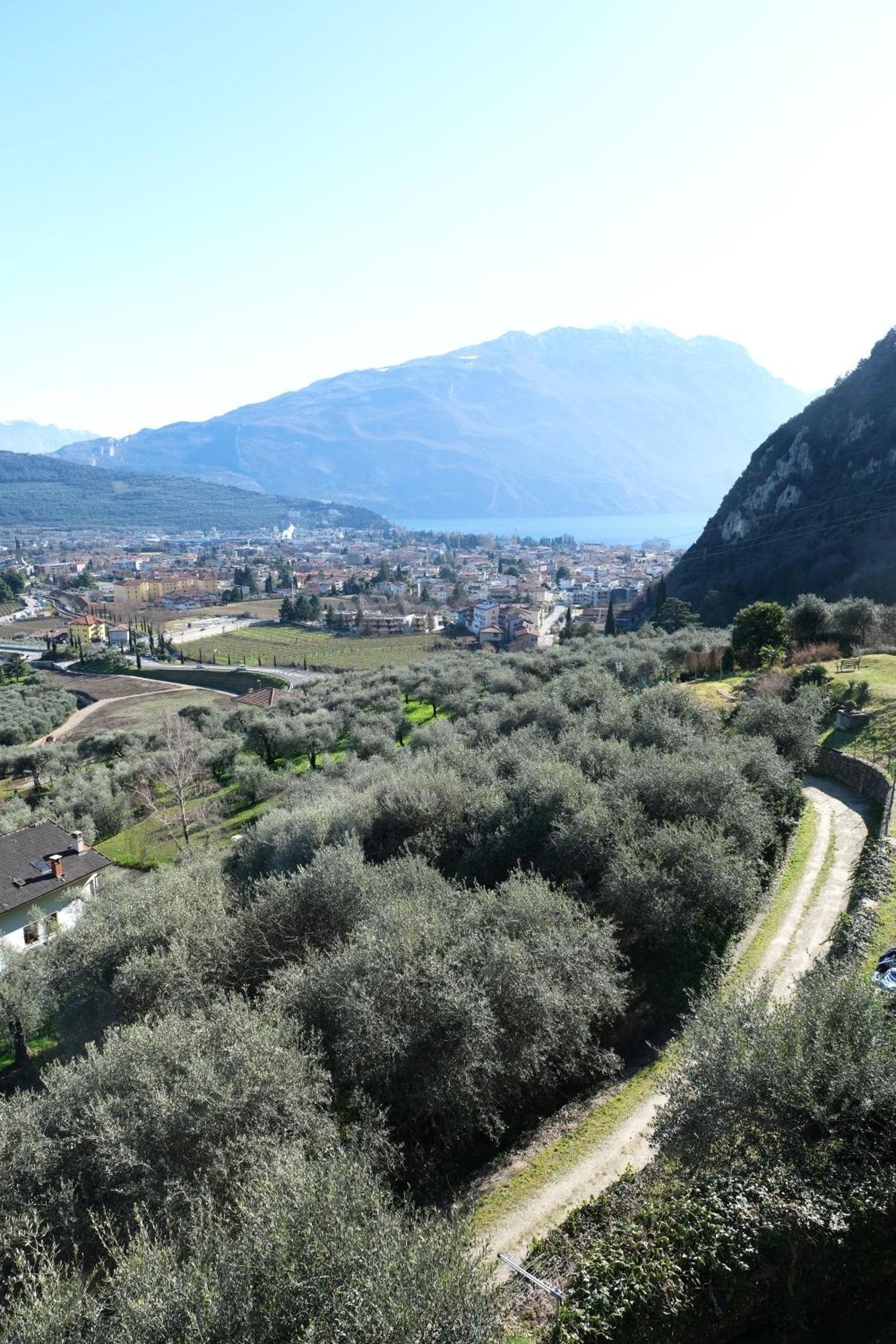 Casa Segantini - Panorama Pool Apartment Gavazzo Nuova Exteriör bild